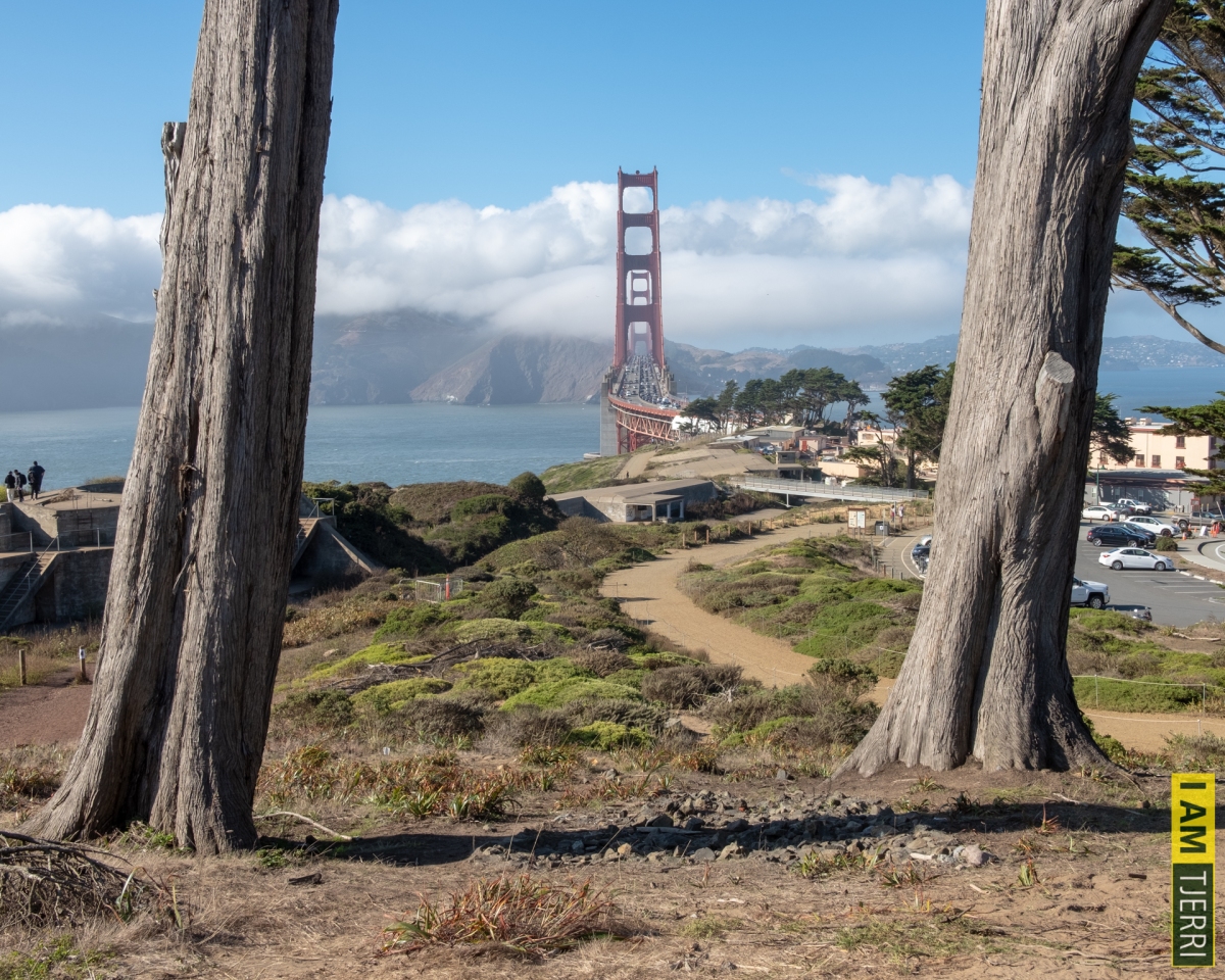 USA road trip –  Pacific Grove – San Francisco …